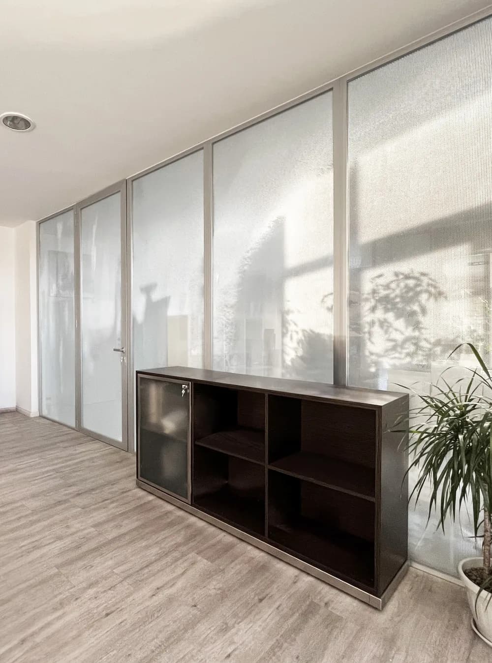 Crystal glazed office wall with a sideboard and a plant in front of it