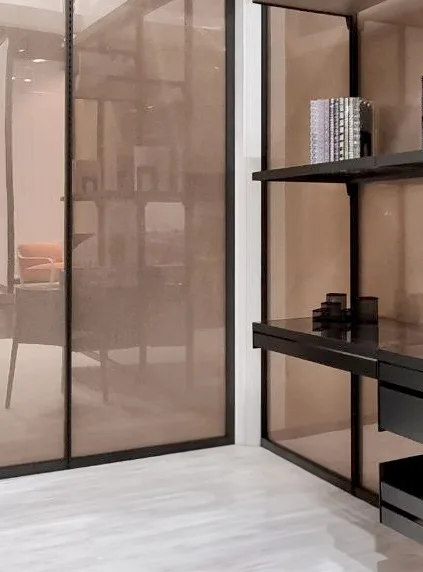 Loop closet shelving and rail inside the translucent panel structure